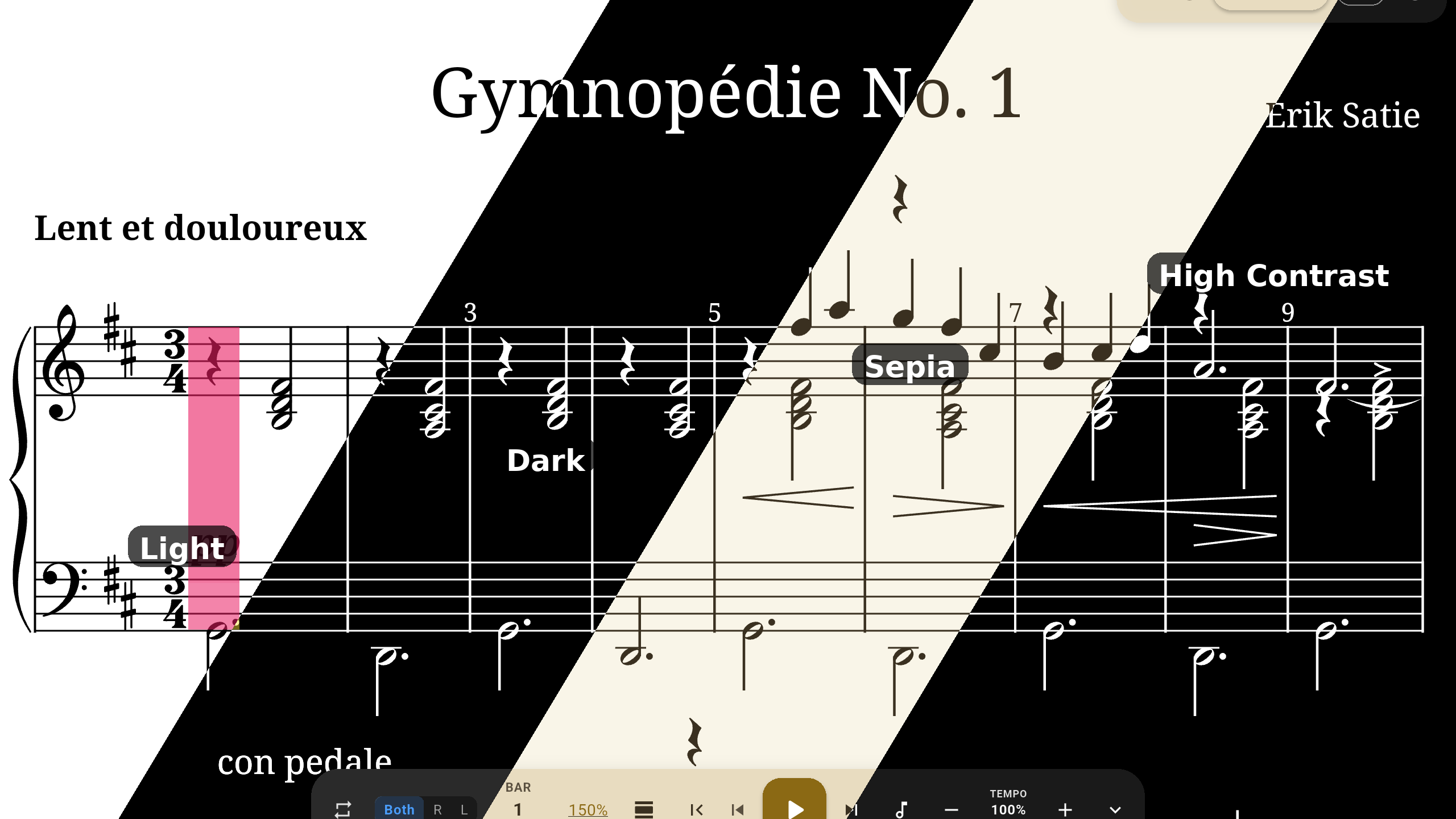 Four theme options: Light, Dark, Sepia, and High Contrast